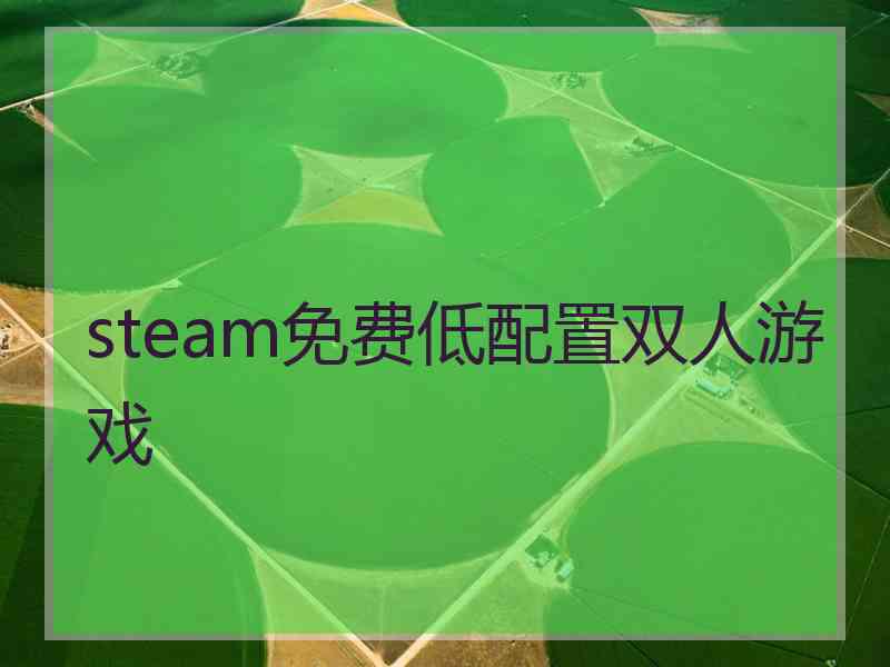 steam免费低配置双人游戏