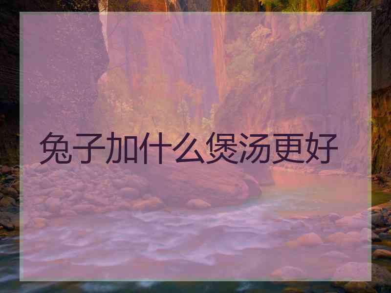 兔子加什么煲汤更好