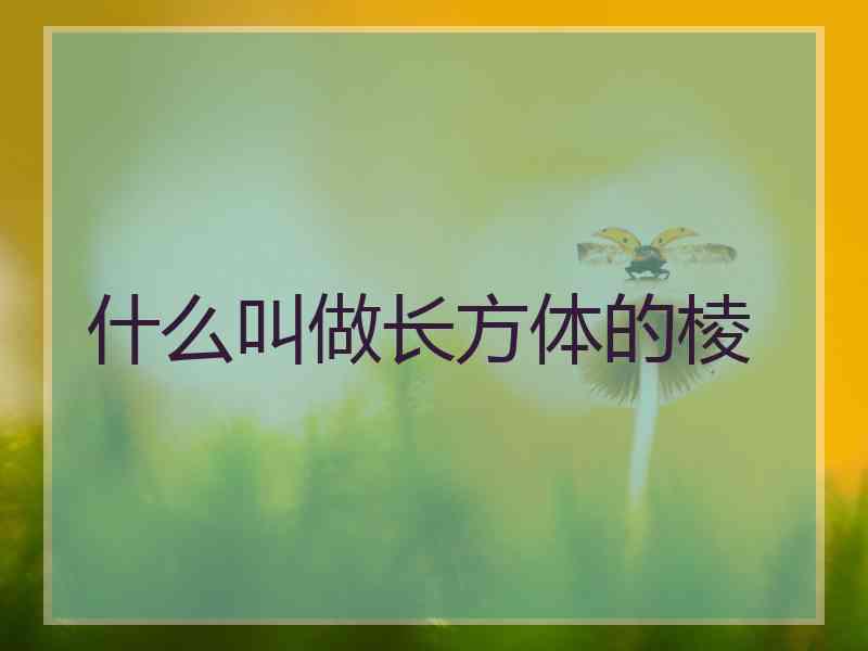 什么叫做长方体的棱