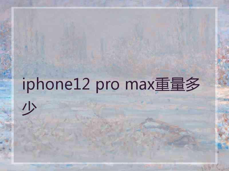 iphone12 pro max重量多少