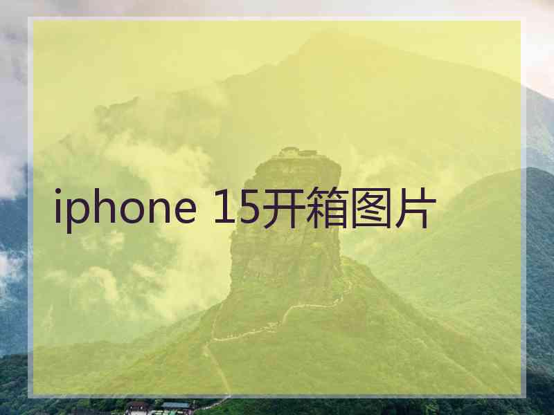 iphone 15开箱图片