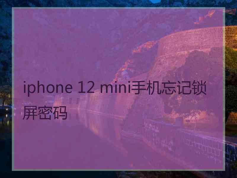 iphone 12 mini手机忘记锁屏密码