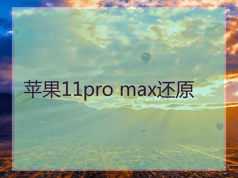 苹果11pro max还原