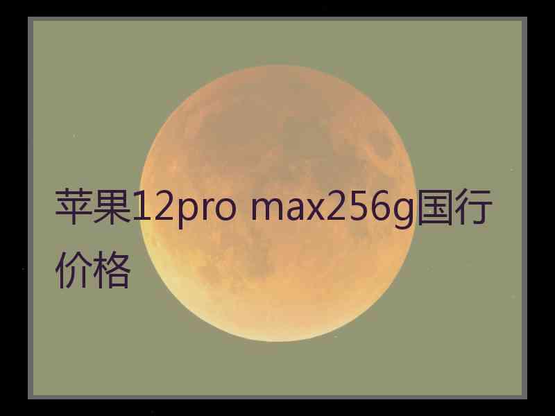 苹果12pro max256g国行价格