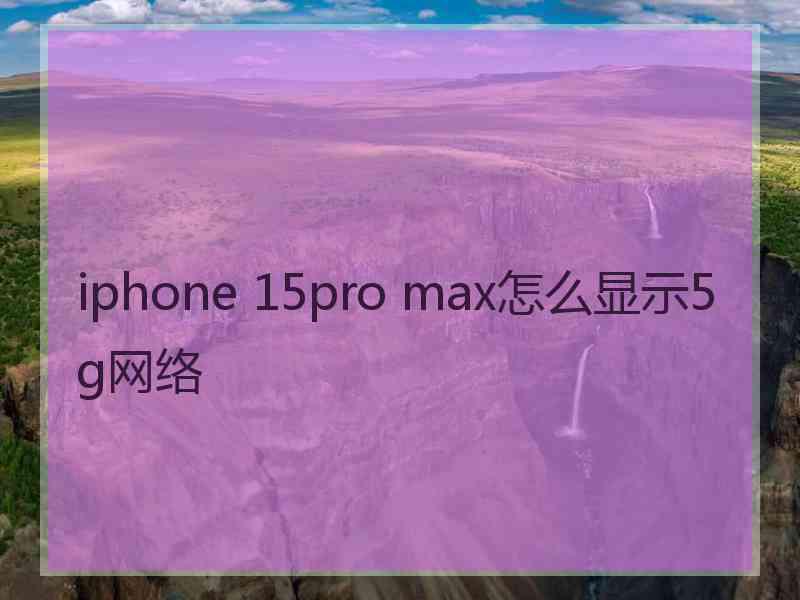 iphone 15pro max怎么显示5g网络