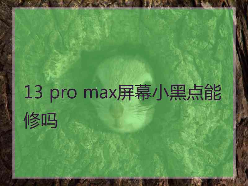 13 pro max屏幕小黑点能修吗