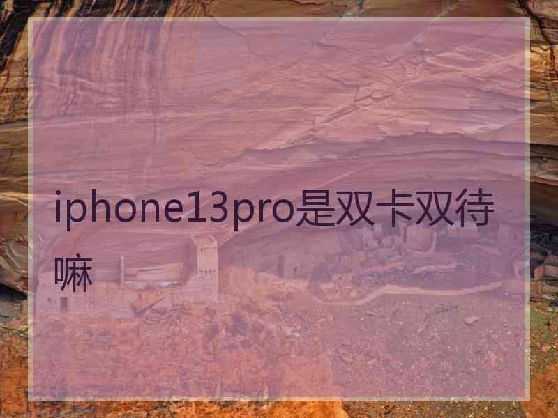 iphone13pro是双卡双待嘛