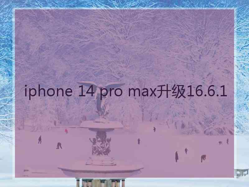 iphone 14 pro max升级16.6.1