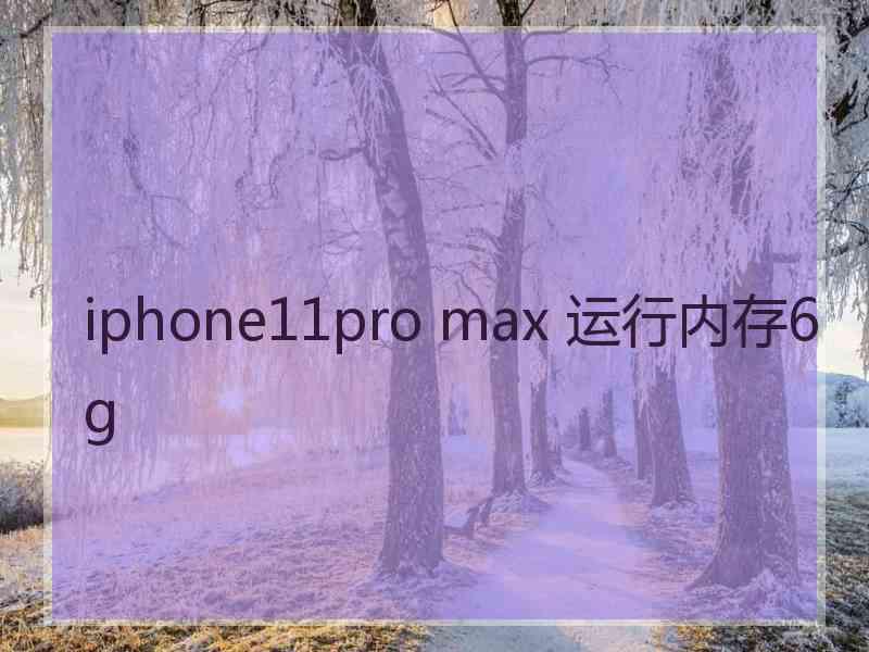 iphone11pro max 运行内存6g