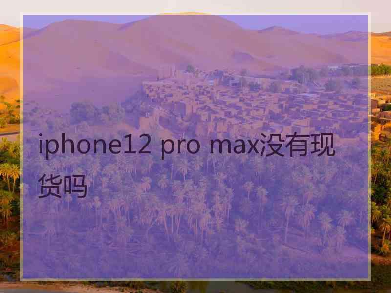 iphone12 pro max没有现货吗