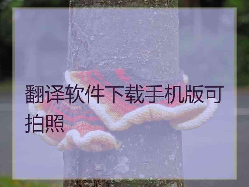 翻译软件下载手机版可拍照