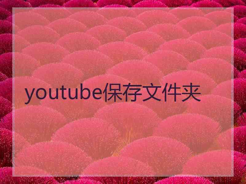 youtube保存文件夹