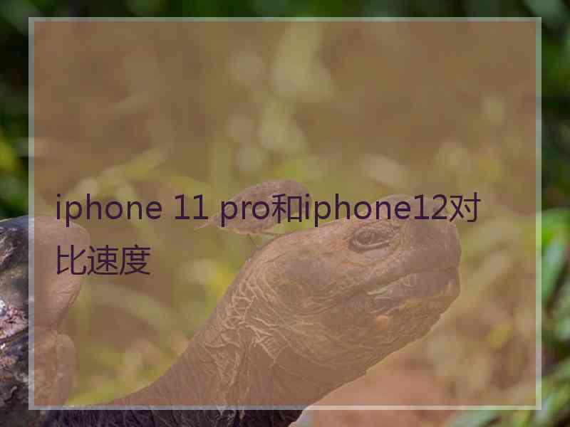 iphone 11 pro和iphone12对比速度