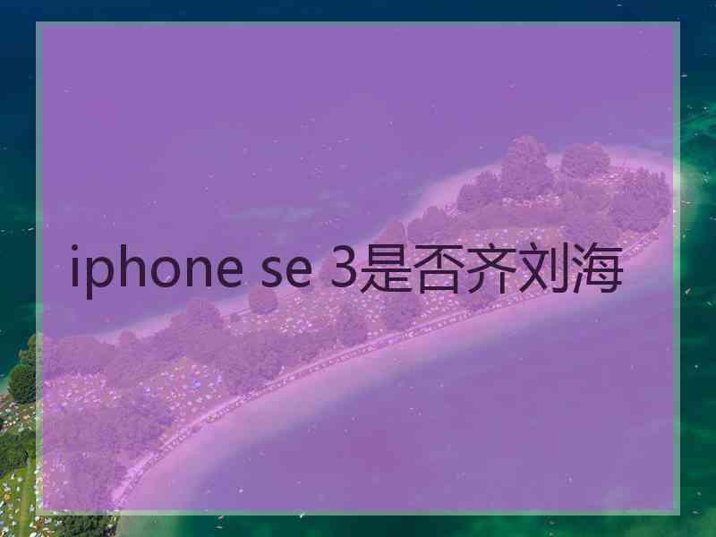 iphone se 3是否齐刘海