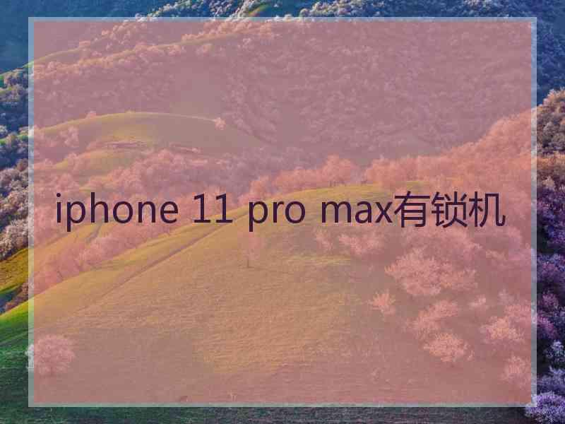 iphone 11 pro max有锁机