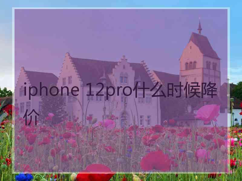 iphone 12pro什么时候降价