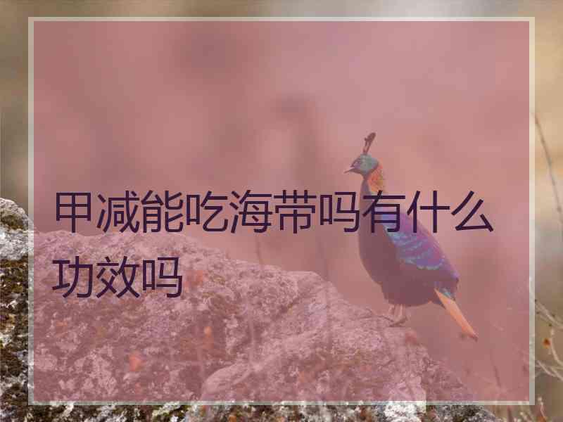 甲减能吃海带吗有什么功效吗