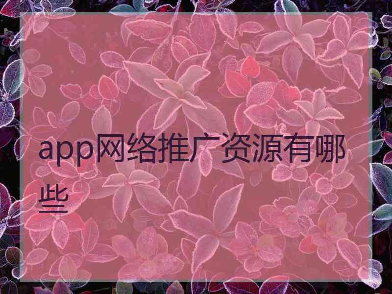 app网络推广资源有哪些