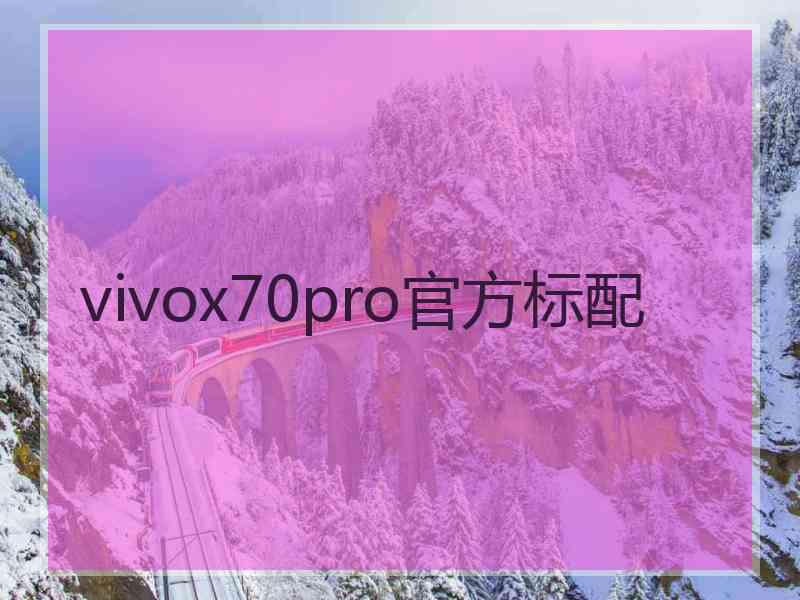 vivox70pro官方标配