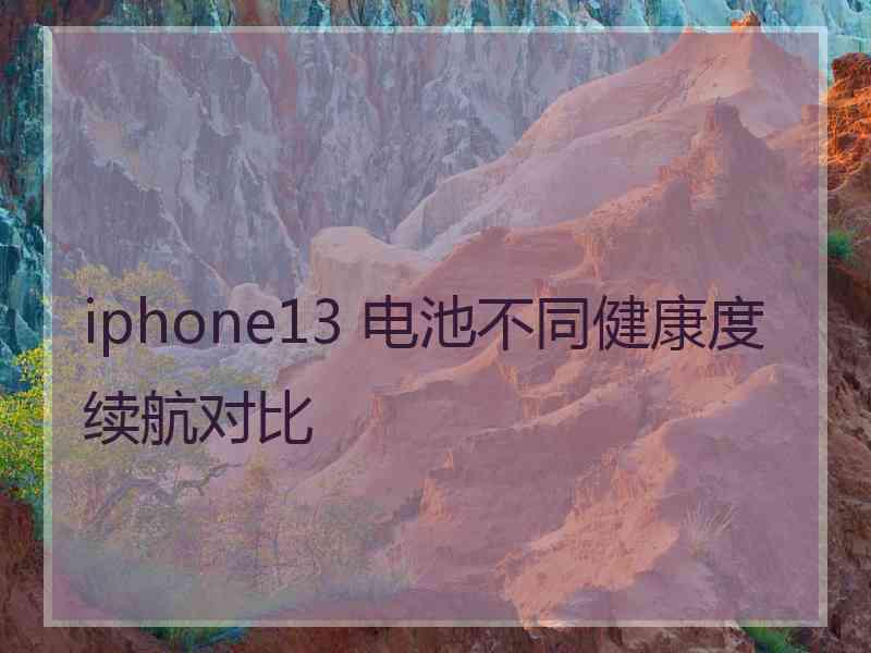 iphone13 电池不同健康度续航对比