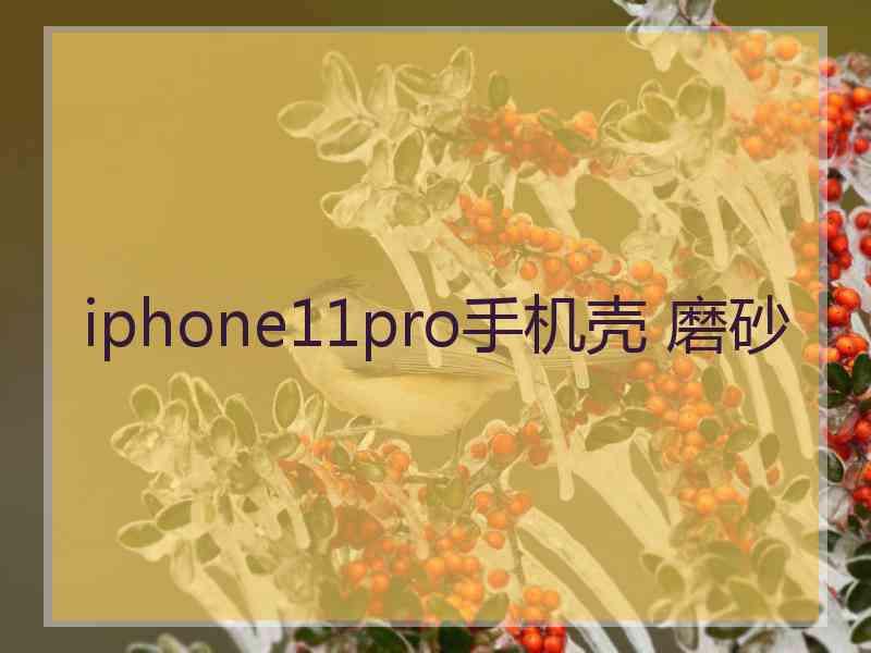 iphone11pro手机壳 磨砂