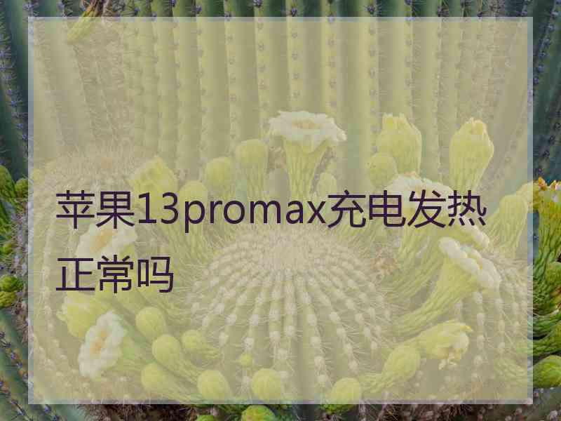 苹果13promax充电发热正常吗