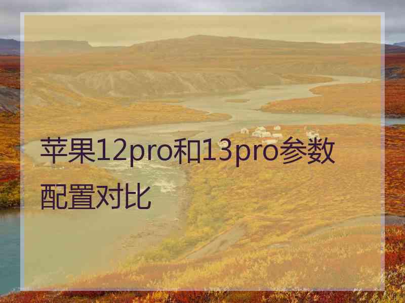 苹果12pro和13pro参数配置对比