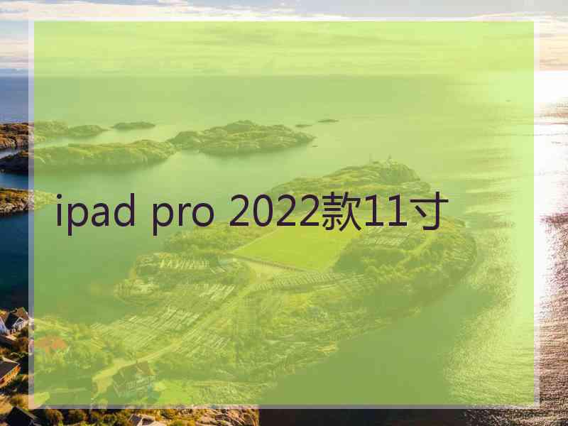 ipad pro 2022款11寸