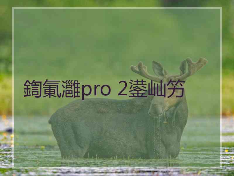 鍧氭灉pro 2鍙屾竻