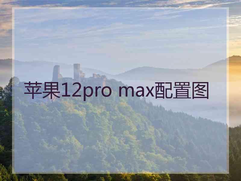 苹果12pro max配置图