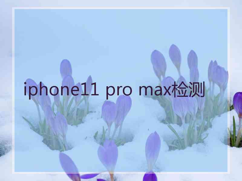 iphone11 pro max检测