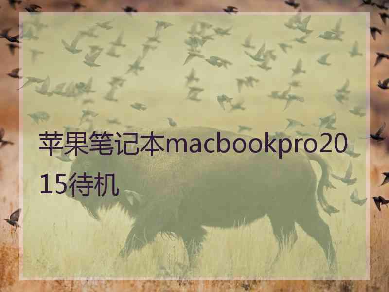 苹果笔记本macbookpro2015待机