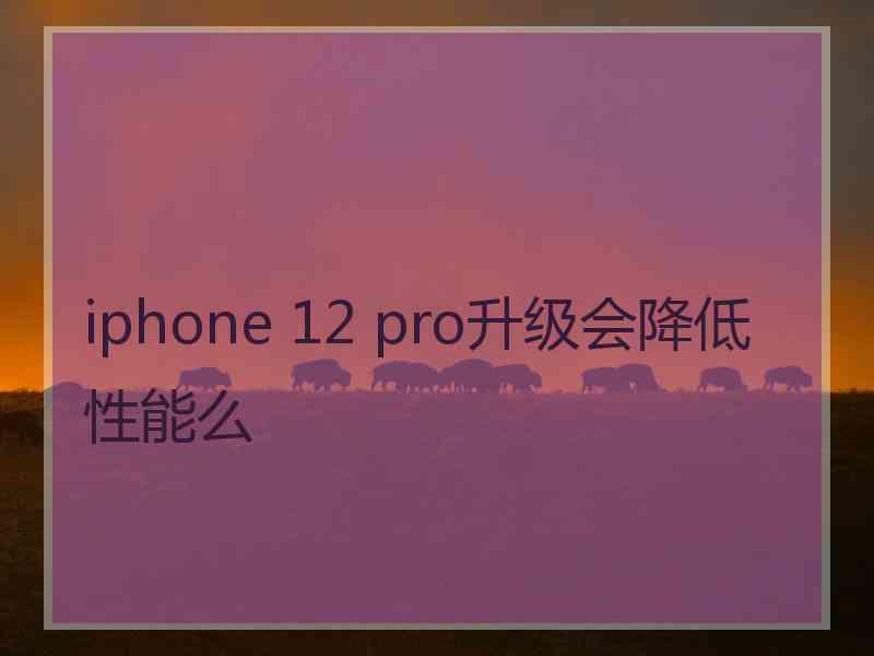 iphone 12 pro升级会降低性能么