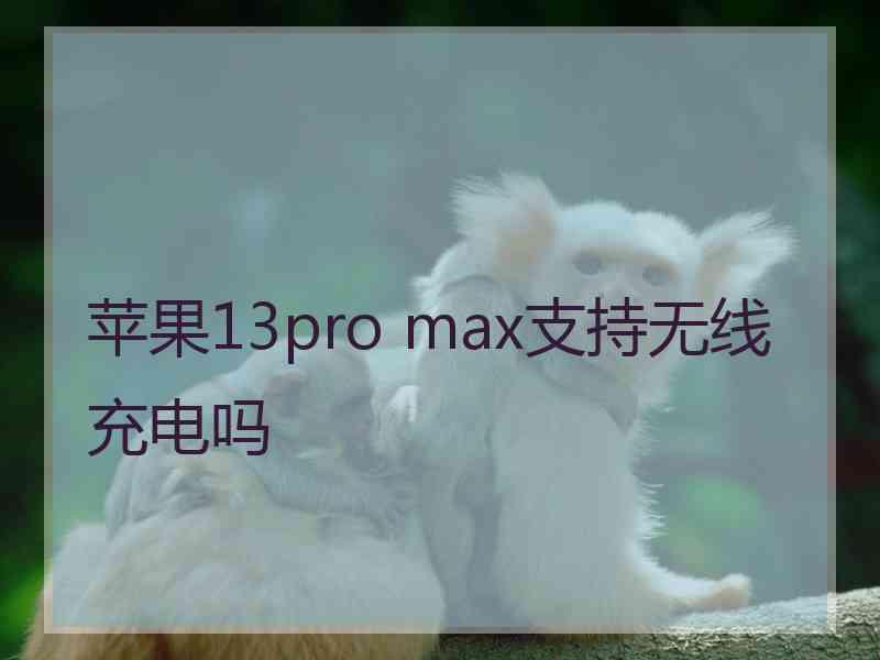 苹果13pro max支持无线充电吗