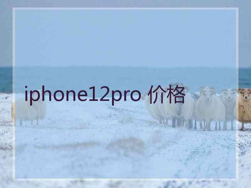 iphone12pro 价格