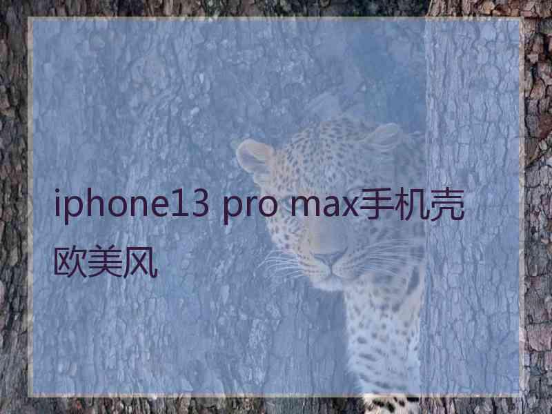 iphone13 pro max手机壳欧美风