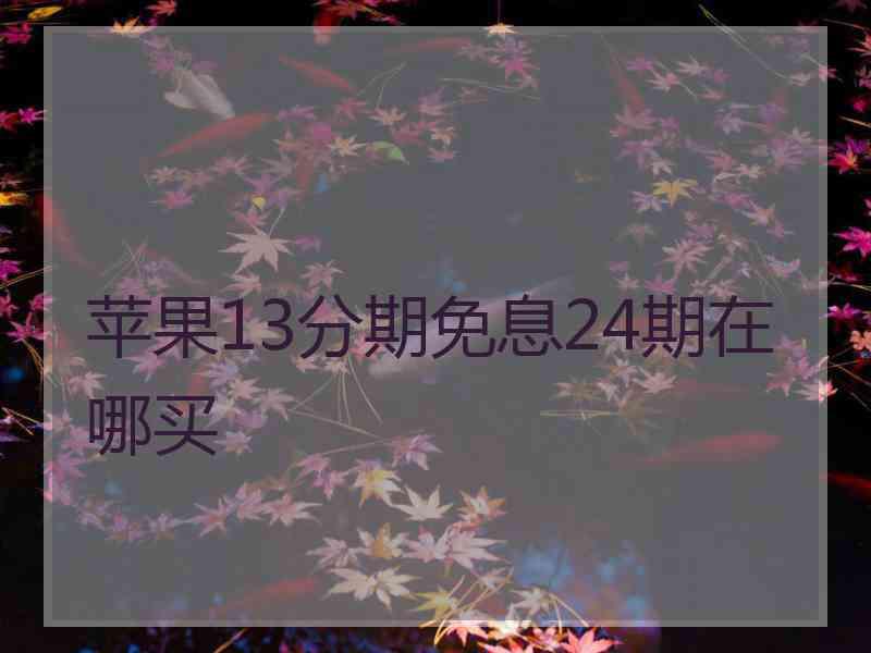 苹果13分期免息24期在哪买