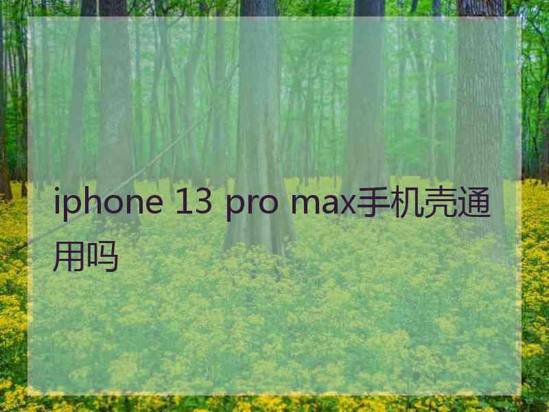 iphone 13 pro max手机壳通用吗