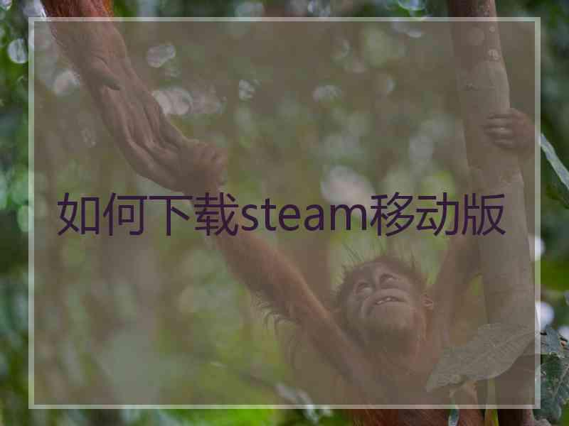 如何下载steam移动版