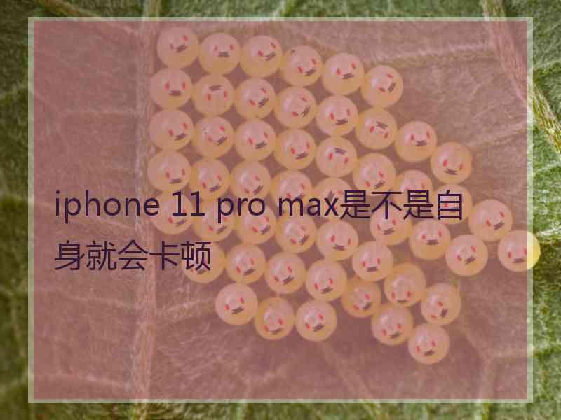 iphone 11 pro max是不是自身就会卡顿