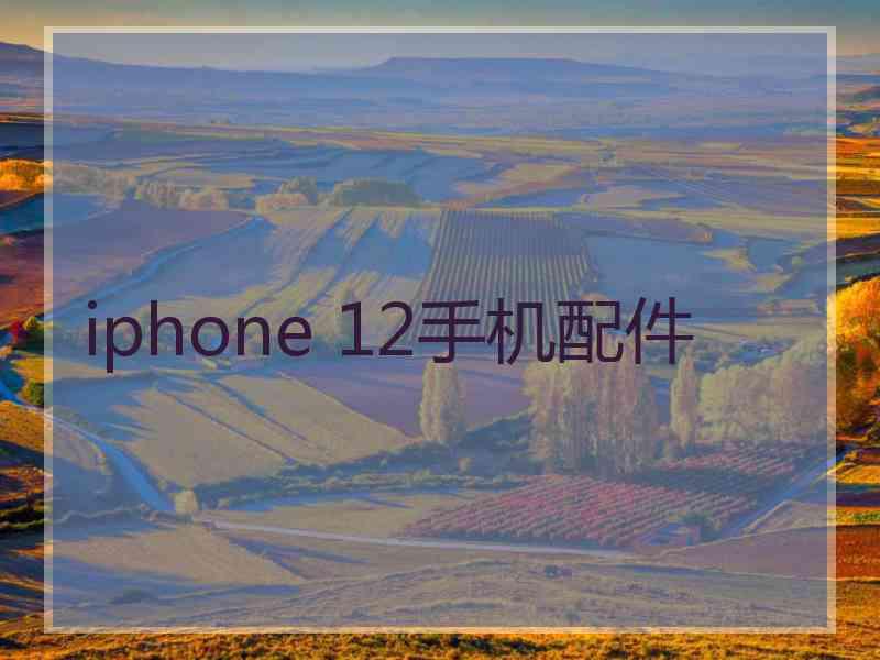 iphone 12手机配件