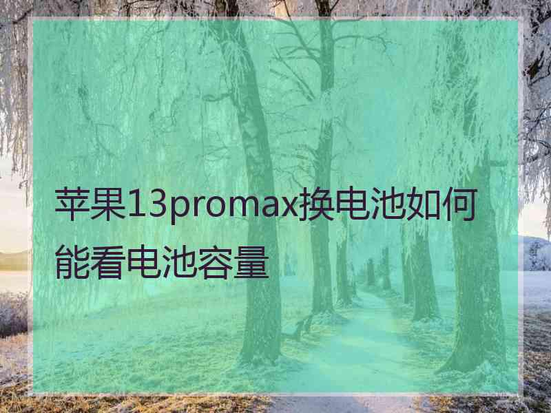 苹果13promax换电池如何能看电池容量