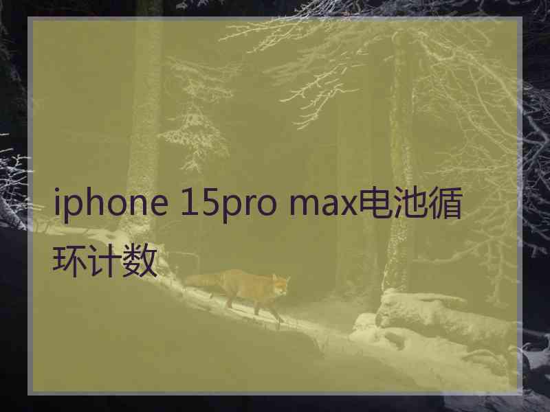 iphone 15pro max电池循环计数