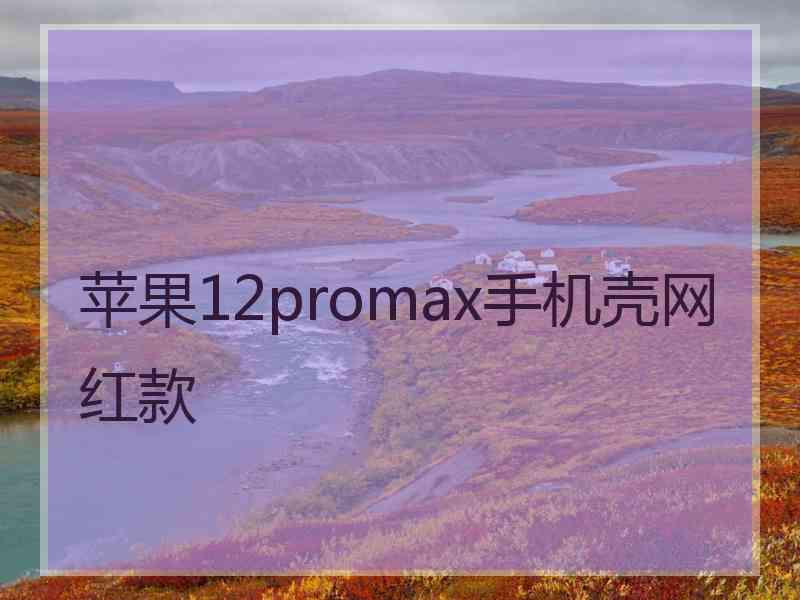 苹果12promax手机壳网红款