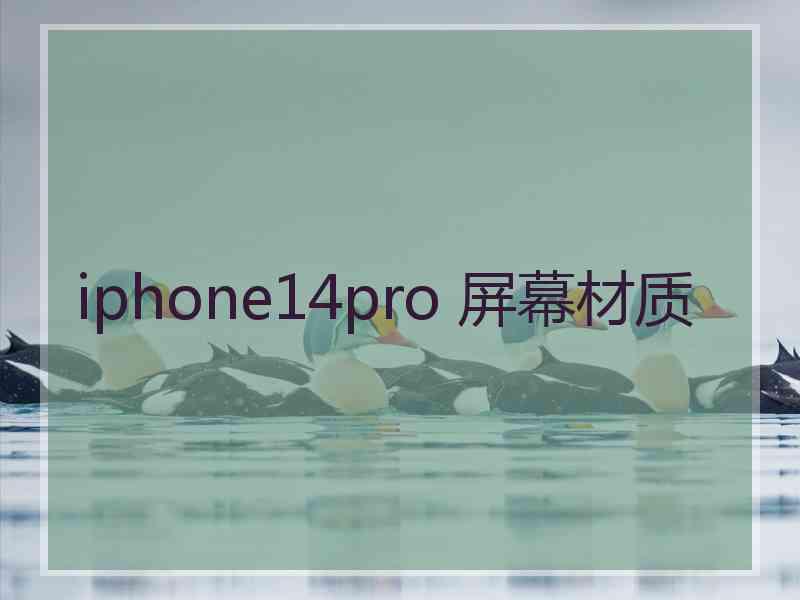 iphone14pro 屏幕材质