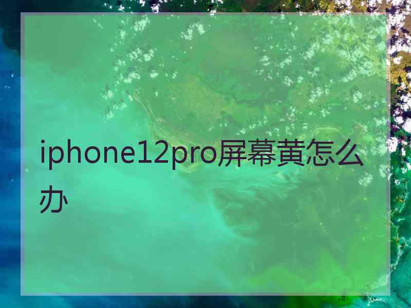 iphone12pro屏幕黄怎么办