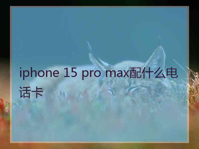 iphone 15 pro max配什么电话卡