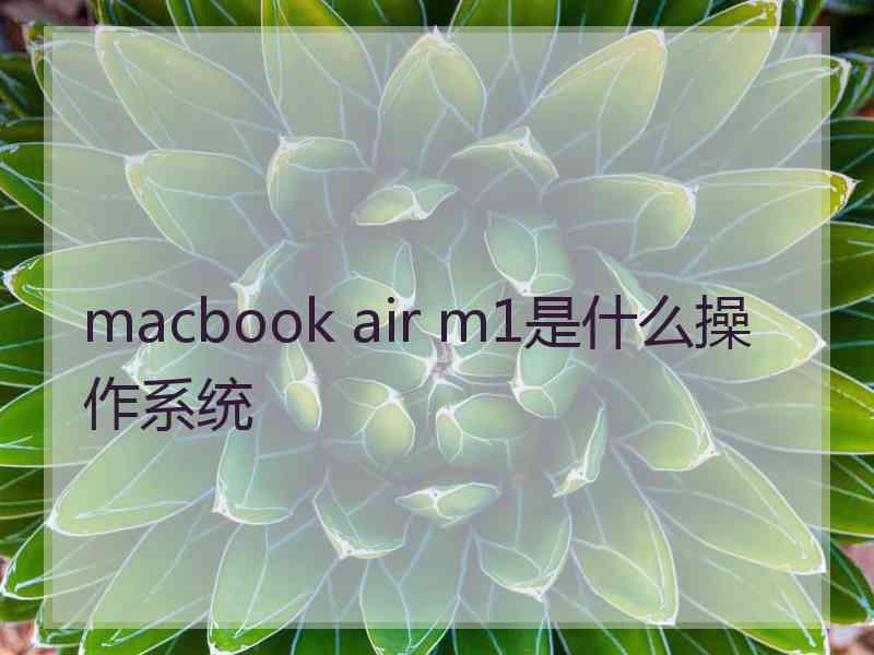 macbook air m1是什么操作系统