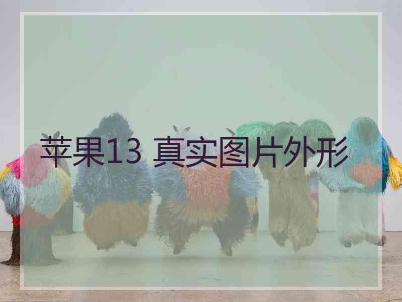 苹果13 真实图片外形