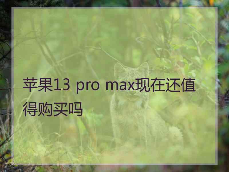 苹果13 pro max现在还值得购买吗